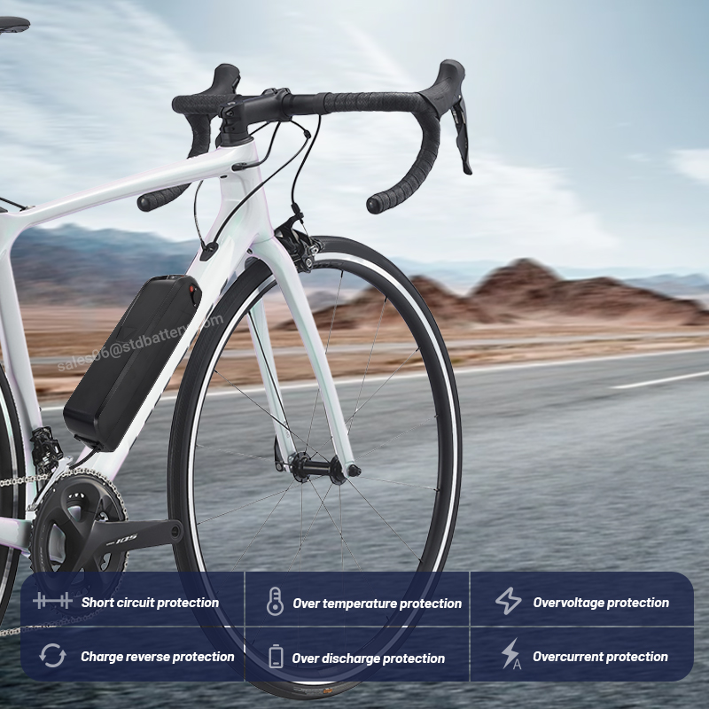 ALX Hailong ebike 배터리 Ridstar  - Ebike Battery 48V 20Ah Hailong 리뷰 및 가격